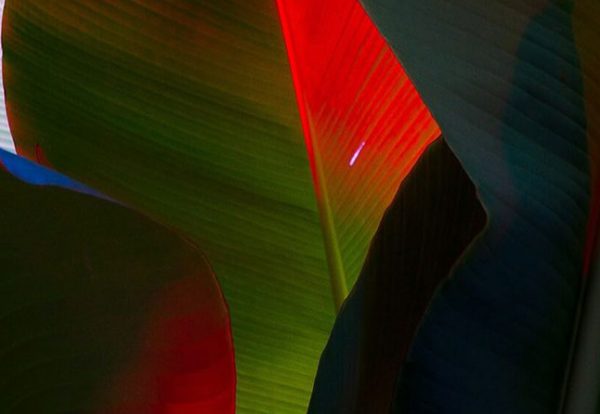 update-blog3